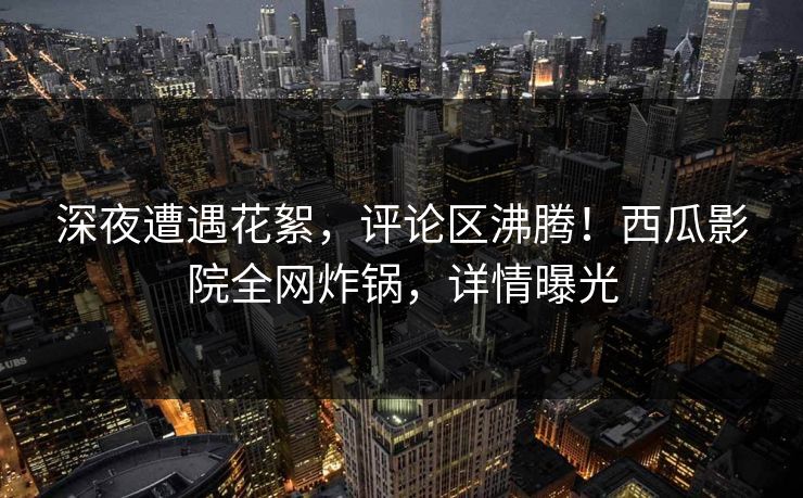 深夜遭遇花絮，评论区沸腾！西瓜影院全网炸锅，详情曝光